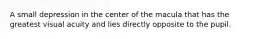 A small depression in the center of the macula that has the greatest visual acuity and lies directly opposite to the pupil.