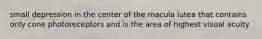 small depression in the center of the macula lutea that contains only cone photoreceptors and is the area of highest visual acuity