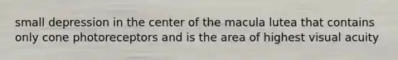 small depression in the center of the macula lutea that contains only cone photoreceptors and is the area of highest visual acuity