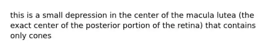 this is a small depression in the center of the macula lutea (the exact center of the posterior portion of the retina) that contains only cones