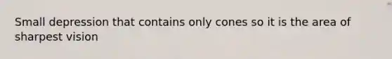 Small depression that contains only cones so it is the area of sharpest vision