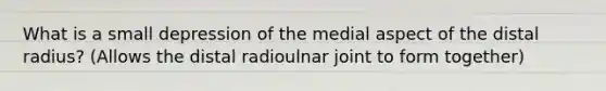 What is a small depression of the medial aspect of the distal radius? (Allows the distal radioulnar joint to form together)