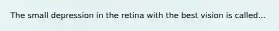 The small depression in the retina with the best vision is called...