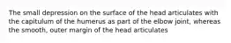 The small depression on the surface of the head articulates with the capitulum of the humerus as part of the elbow joint, whereas the smooth, outer margin of the head articulates