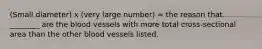 (Small diameter) x (very large number) = the reason that ________ are the blood vessels with more total cross-sectional area than the other blood vessels listed.