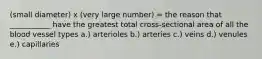 (small diameter) x (very large number) = the reason that ___________ have the greatest total cross-sectional area of all the blood vessel types a.) arterioles b.) arteries c.) veins d.) venules e.) capillaries