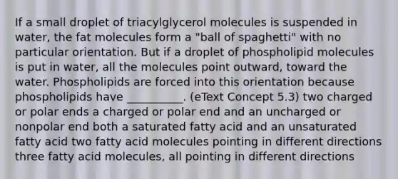 If a small droplet of triacylglycerol molecules is suspended in water, the fat molecules form a "ball of spaghetti" with no particular orientation. But if a droplet of phospholipid molecules is put in water, all the molecules point outward, toward the water. Phospholipids are forced into this orientation because phospholipids have __________. (eText Concept 5.3) two charged or polar ends a charged or polar end and an uncharged or nonpolar end both a saturated fatty acid and an unsaturated fatty acid two fatty acid molecules pointing in different directions three fatty acid molecules, all pointing in different directions