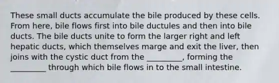 These small ducts accumulate the bile produced by these cells. From here, bile flows first into bile ductules and then into bile ducts. The bile ducts unite to form the larger right and left hepatic ducts, which themselves marge and exit the liver, then joins with the cystic duct from the _________, forming the _________ through which bile flows in to the small intestine.