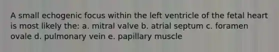 A small echogenic focus within the left ventricle of the fetal heart is most likely the: a. mitral valve b. atrial septum c. foramen ovale d. pulmonary vein e. papillary muscle