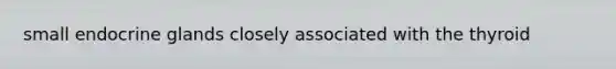 small endocrine glands closely associated with the thyroid