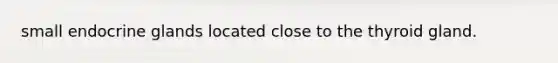 small endocrine glands located close to the thyroid gland.