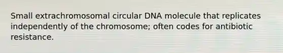 Small extrachromosomal circular DNA molecule that replicates independently of the chromosome; often codes for antibiotic resistance.