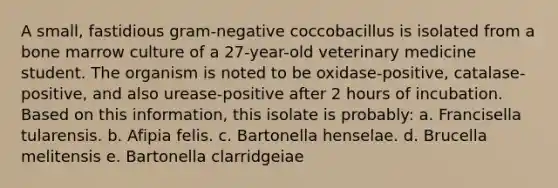 A small, fastidious gram-negative coccobacillus is isolated from a bone marrow culture of a 27-year-old veterinary medicine student. The organism is noted to be oxidase-positive, catalase-positive, and also urease-positive after 2 hours of incubation. Based on this information, this isolate is probably: a. Francisella tularensis. b. Afipia felis. c. Bartonella henselae. d. Brucella melitensis e. Bartonella clarridgeiae