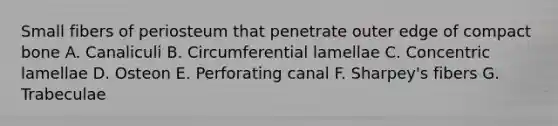 Small fibers of periosteum that penetrate outer edge of compact bone A. Canaliculi B. Circumferential lamellae C. Concentric lamellae D. Osteon E. Perforating canal F. Sharpey's fibers G. Trabeculae