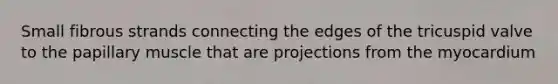 Small fibrous strands connecting the edges of the tricuspid valve to the papillary muscle that are projections from the myocardium