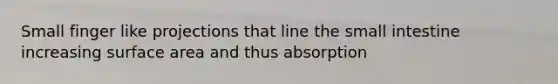 Small finger like projections that line the small intestine increasing surface area and thus absorption