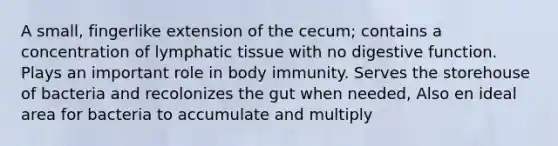 A small, fingerlike extension of the cecum; contains a concentration of lymphatic tissue with no digestive function. Plays an important role in body immunity. Serves the storehouse of bacteria and recolonizes the gut when needed, Also en ideal area for bacteria to accumulate and multiply