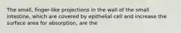 The small, finger-like projections in the wall of the small intestine, which are covered by epithelial cell and increase the surface area for absorption, are the