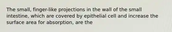 The small, finger-like projections in the wall of <a href='https://www.questionai.com/knowledge/kt623fh5xn-the-small-intestine' class='anchor-knowledge'>the small intestine</a>, which are covered by epithelial cell and increase the surface area for absorption, are the