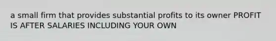 a small firm that provides substantial profits to its owner PROFIT IS AFTER SALARIES INCLUDING YOUR OWN