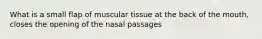 What is a small flap of muscular tissue at the back of the mouth, closes the opening of the nasal passages