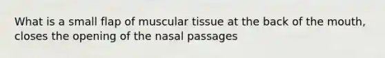 What is a small flap of muscular tissue at the back of the mouth, closes the opening of the nasal passages