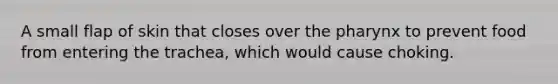A small flap of skin that closes over the pharynx to prevent food from entering the trachea, which would cause choking.