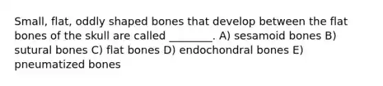 Small, flat, oddly shaped bones that develop between the flat bones of the skull are called ________. A) sesamoid bones B) sutural bones C) flat bones D) endochondral bones E) pneumatized bones