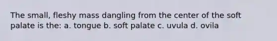 The small, fleshy mass dangling from the center of the soft palate is the: a. tongue b. soft palate c. uvula d. ovila