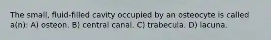 The small, fluid-filled cavity occupied by an osteocyte is called a(n): A) osteon. B) central canal. C) trabecula. D) lacuna.