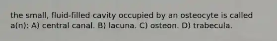 the small, fluid-filled cavity occupied by an osteocyte is called a(n): A) central canal. B) lacuna. C) osteon. D) trabecula.