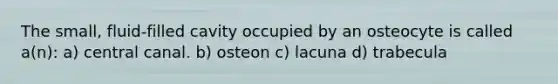 The small, fluid-filled cavity occupied by an osteocyte is called a(n): a) central canal. b) osteon c) lacuna d) trabecula