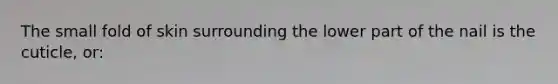 The small fold of skin surrounding the lower part of the nail is the cuticle, or: