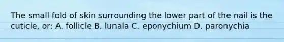 The small fold of skin surrounding the lower part of the nail is the cuticle, or: A. follicle B. lunala C. eponychium D. paronychia