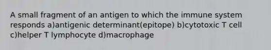 A small fragment of an antigen to which the immune system responds a)antigenic determinant(epitope) b)cytotoxic T cell c)helper T lymphocyte d)macrophage