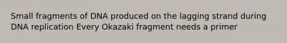 Small fragments of DNA produced on the lagging strand during <a href='https://www.questionai.com/knowledge/kofV2VQU2J-dna-replication' class='anchor-knowledge'>dna replication</a> Every Okazaki fragment needs a primer