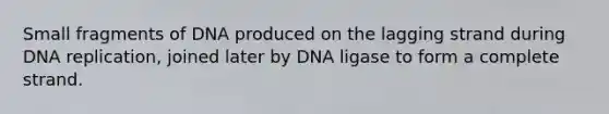 Small fragments of DNA produced on the lagging strand during DNA replication, joined later by DNA ligase to form a complete strand.