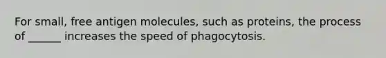 For small, free antigen molecules, such as proteins, the process of ______ increases the speed of phagocytosis.