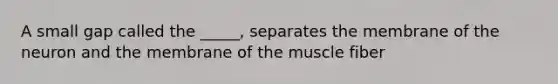 A small gap called the _____, separates the membrane of the neuron and the membrane of the muscle fiber