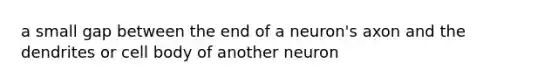 a small gap between the end of a neuron's axon and the dendrites or cell body of another neuron