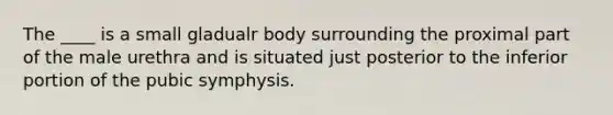 The ____ is a small gladualr body surrounding the proximal part of the male urethra and is situated just posterior to the inferior portion of the pubic symphysis.