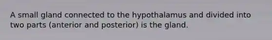 A small gland connected to the hypothalamus and divided into two parts (anterior and posterior) is the gland.