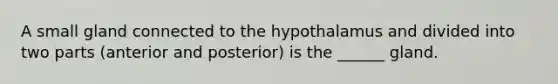 A small gland connected to the hypothalamus and divided into two parts (anterior and posterior) is the ______ gland.