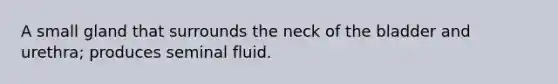 A small gland that surrounds the neck of the bladder and urethra; produces seminal fluid.