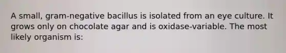 A small, gram-negative bacillus is isolated from an eye culture. It grows only on chocolate agar and is oxidase-variable. The most likely organism is: