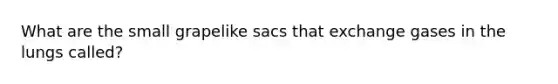 What are the small grapelike sacs that exchange gases in the lungs called?