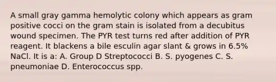 A small gray gamma hemolytic colony which appears as gram positive cocci on the gram stain is isolated from a decubitus wound specimen. The PYR test turns red after addition of PYR reagent. It blackens a bile esculin agar slant & grows in 6.5% NaCl. It is a: A. Group D Streptococci B. S. pyogenes C. S. pneumoniae D. Enterococcus spp.