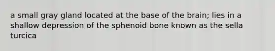 a small gray gland located at the base of the brain; lies in a shallow depression of the sphenoid bone known as the sella turcica