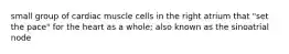 small group of cardiac muscle cells in the right atrium that "set the pace" for the heart as a whole; also known as the sinoatrial node