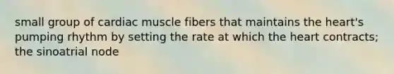 small group of cardiac muscle fibers that maintains the heart's pumping rhythm by setting the rate at which the heart contracts; the sinoatrial node